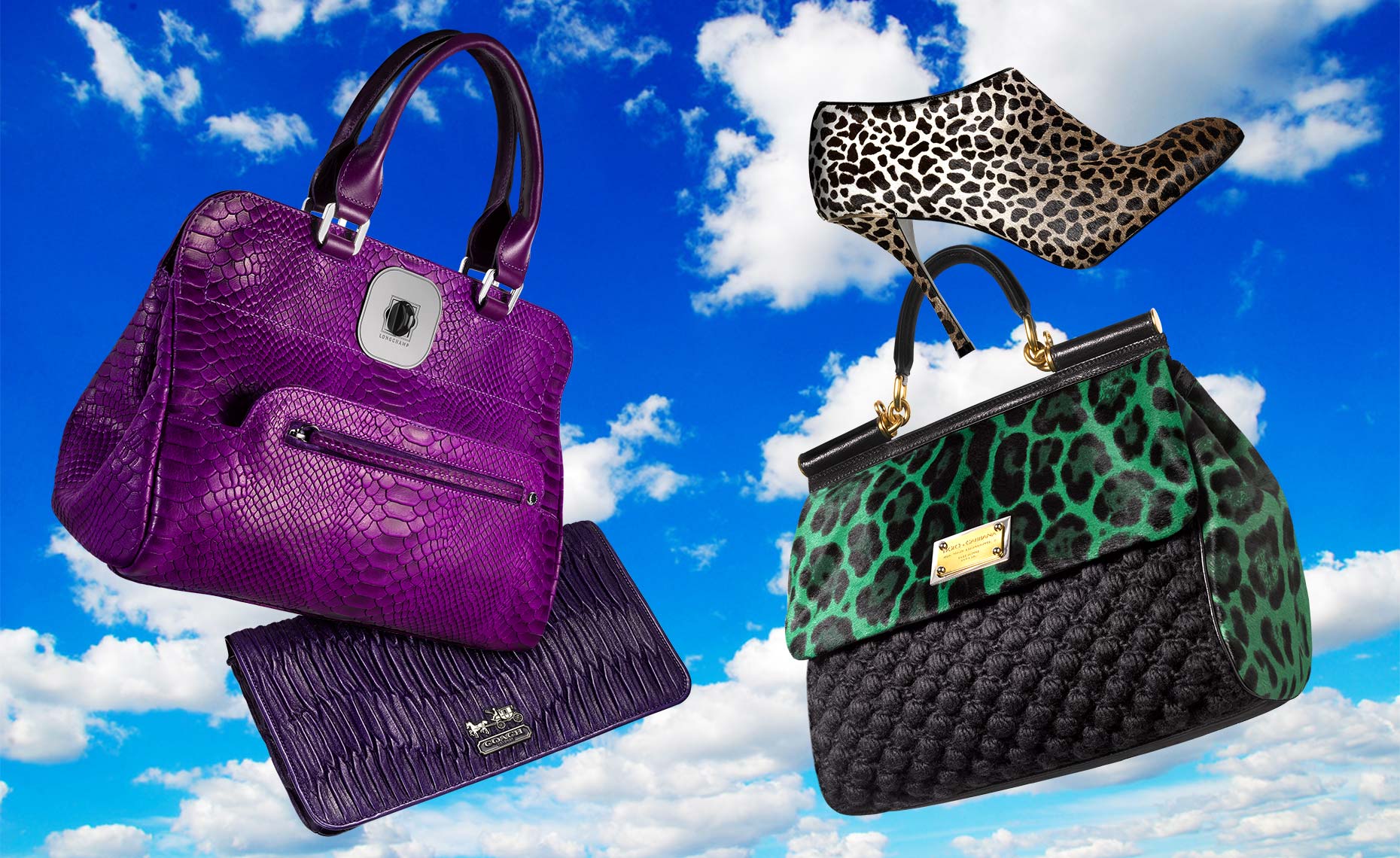 Longchamp handbag, Coach clutch, Gucci shoe, Dolce & Gabbana handbag